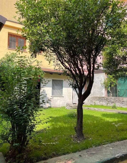 Il Giardino Nascosto Lägenhet Omegna Exteriör bild